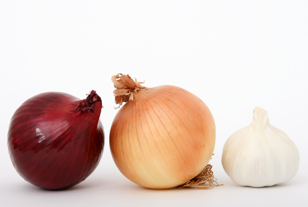 Onions and garlic isolated on white, macro close up with copy-space, copy space.
